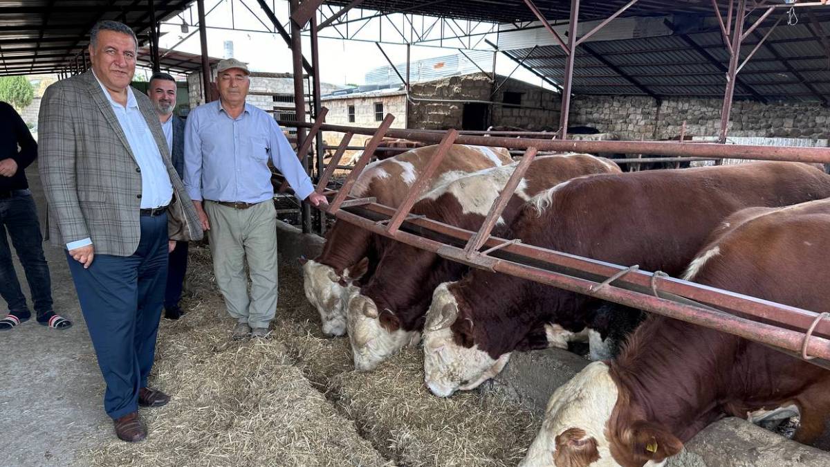 CHP’li Gürer, ‘hayvanlardan bulaşan hastalıkları’ Sağlık Bakanı’na sordu: ‘Zoonotik hastalıklara ilişkin vaka sayısı 50 bin’