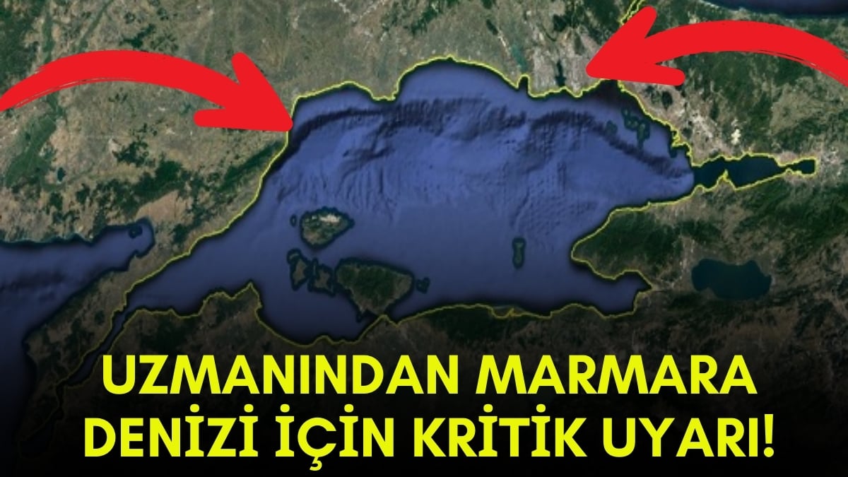 Örümcek ağı gibi Marmara’yı sardı! Prof. Dr. Sarı’dan şok uyarı: Gemlik, İstanbul, Yalova… 2 hafta süre verildi