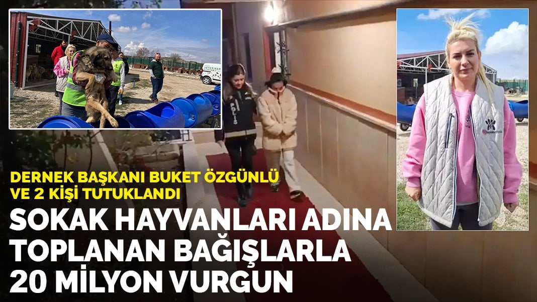 Sokak hayvanları adına toplanan bağışlarla büyük vurgun: Dernek başkanı Buket Özgünlü ve 2 kişi tutuklandı