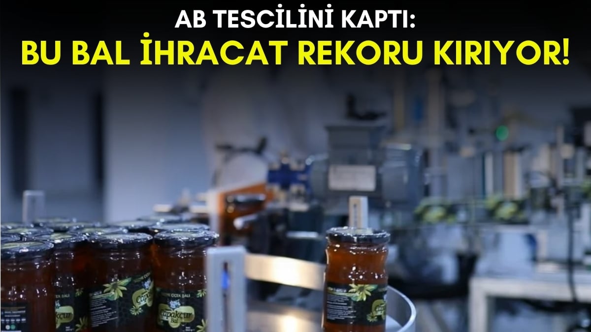 AB tescilini kaptı şimdi 9 ülkeden talep var! O ilimizin balı ihracat rekoru kırıyor: Yabancı ülkelerin raflarında yer alacak