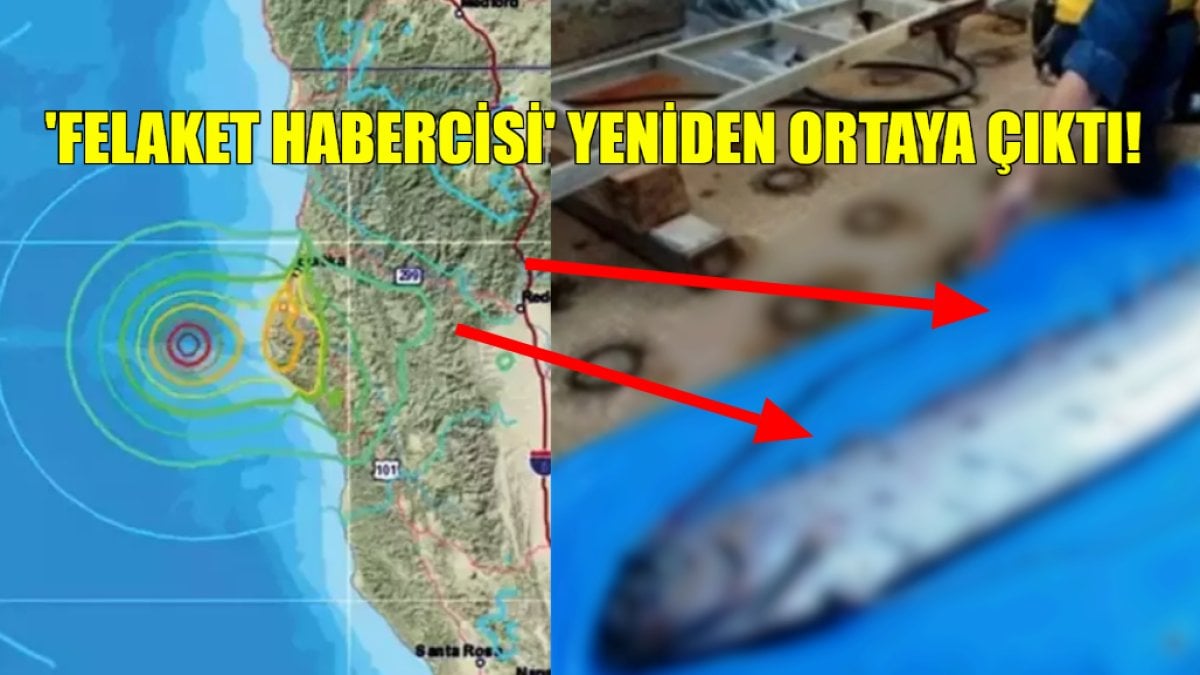 ‘Felaket habercisi’ balık yine sahillerde: Ortaya çıktı ve 7 şiddetinde yine deprem oldu: Herkes şokta