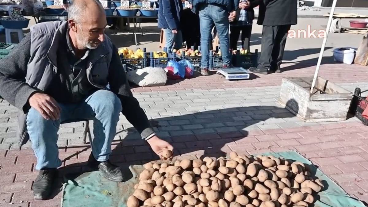 Patatesini maliyetinin altında satan çiftçi yakındı: Seneye bir daha tövbe, ekmeyeceğim