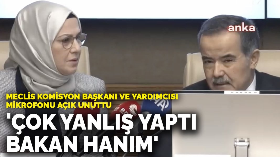 Meclis Komisyon Başkanı ve Yardımcısı mikrofonu açık unuttu: ‘Çok yanlış yaptı bakan hanım’