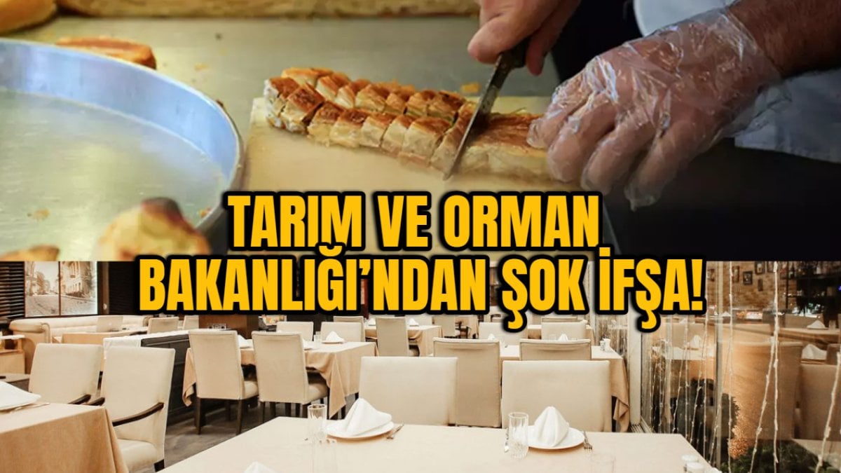 Tarım ve Orman Bakanlığı’ndan şok ifşa! Dana eti diye domuz, at ve eşek eti satıldı: Aralarında en ünlü börekçi ve restoran var