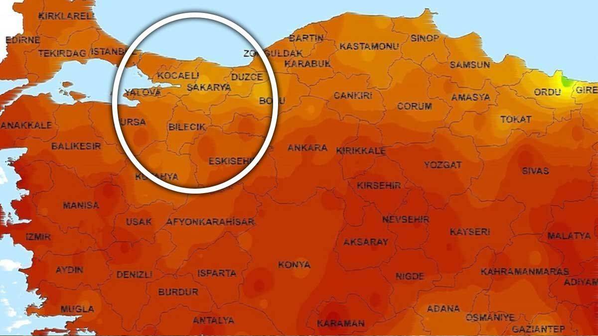 Amerikalı fındıkçılar son teknolojiyi katıyor! Sakarya, Düzce, Terme ve Çarşambalı üreticiler bu yöntemlere göz atın!