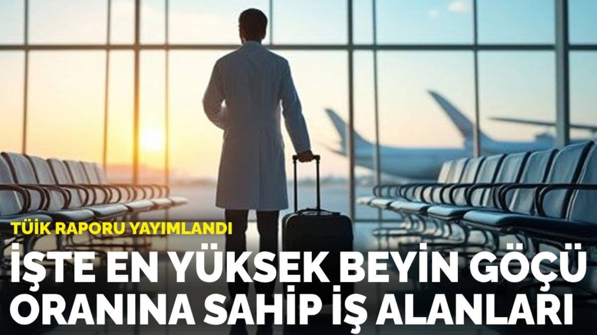 TÜİK raporu yayımlandı: İşte en yüksek beyin göçü oranına sahip iş alanları