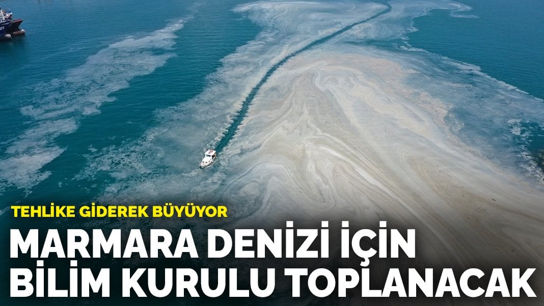 Tehlike giderek büyüyor: Marmara Denizi için bilim kurulu toplanacak