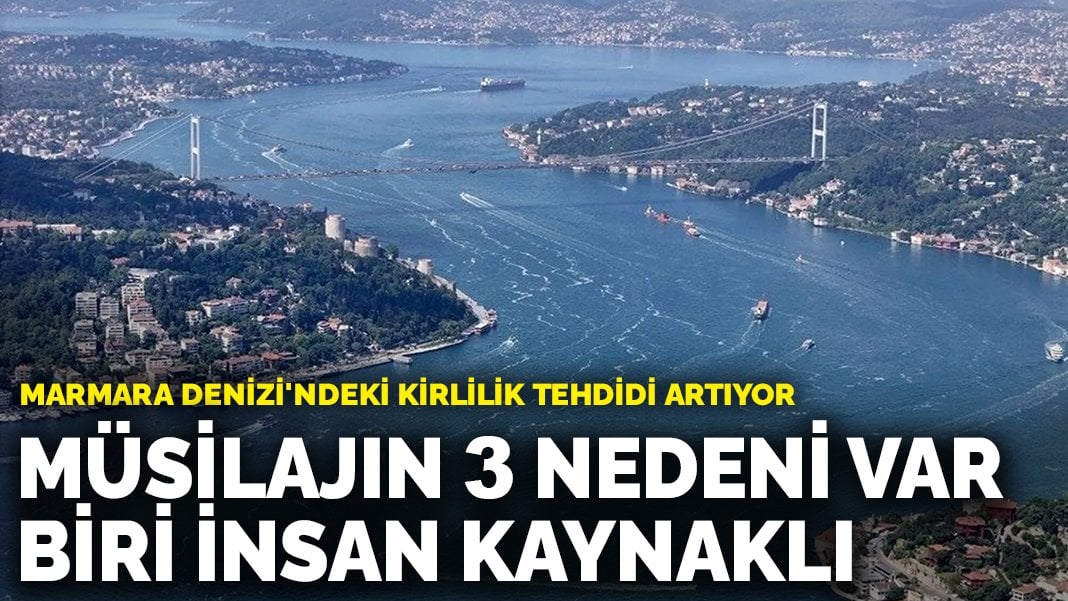 Marmara Denizi’ndeki kirlilik tehdidi artıyor: Müsilajın 3 nedeni var biri insan kaynaklı