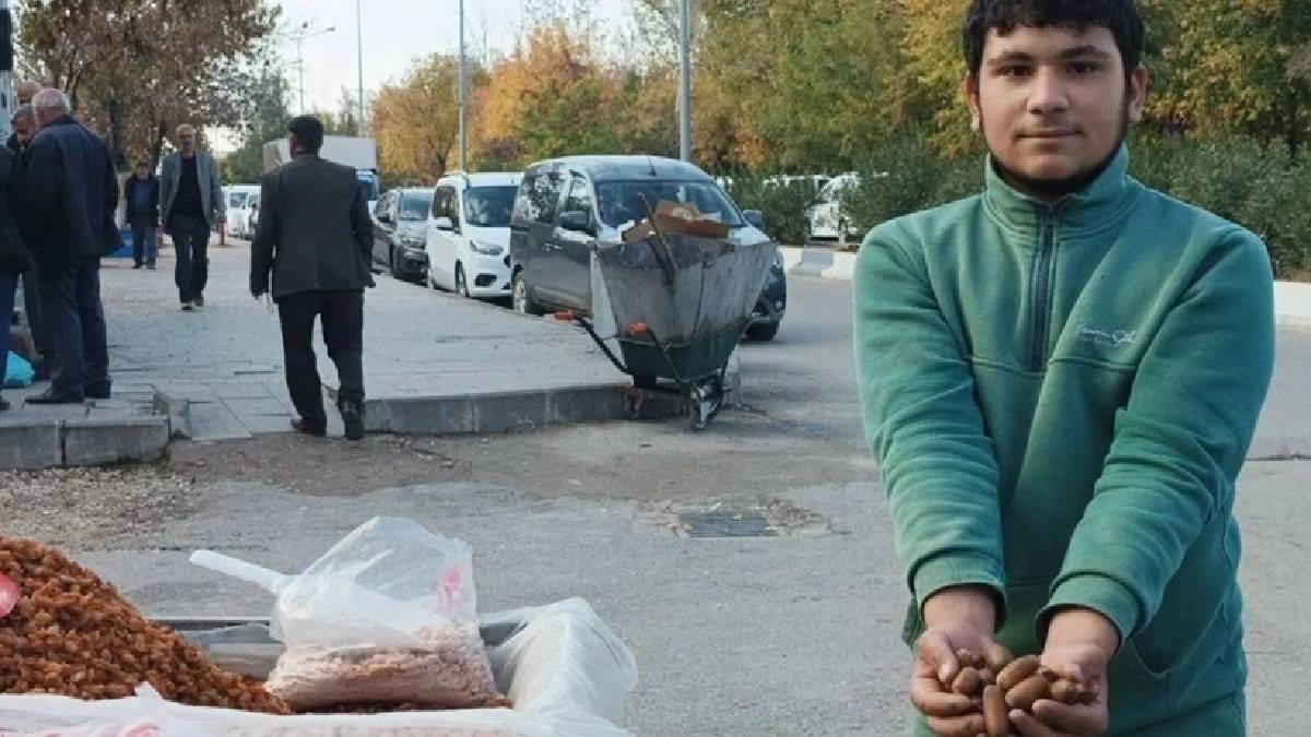 Kestane alamayan bunu tüketiyor! Hem ucuz hem faydalı! Kilosu 35 TL’den tezgahta