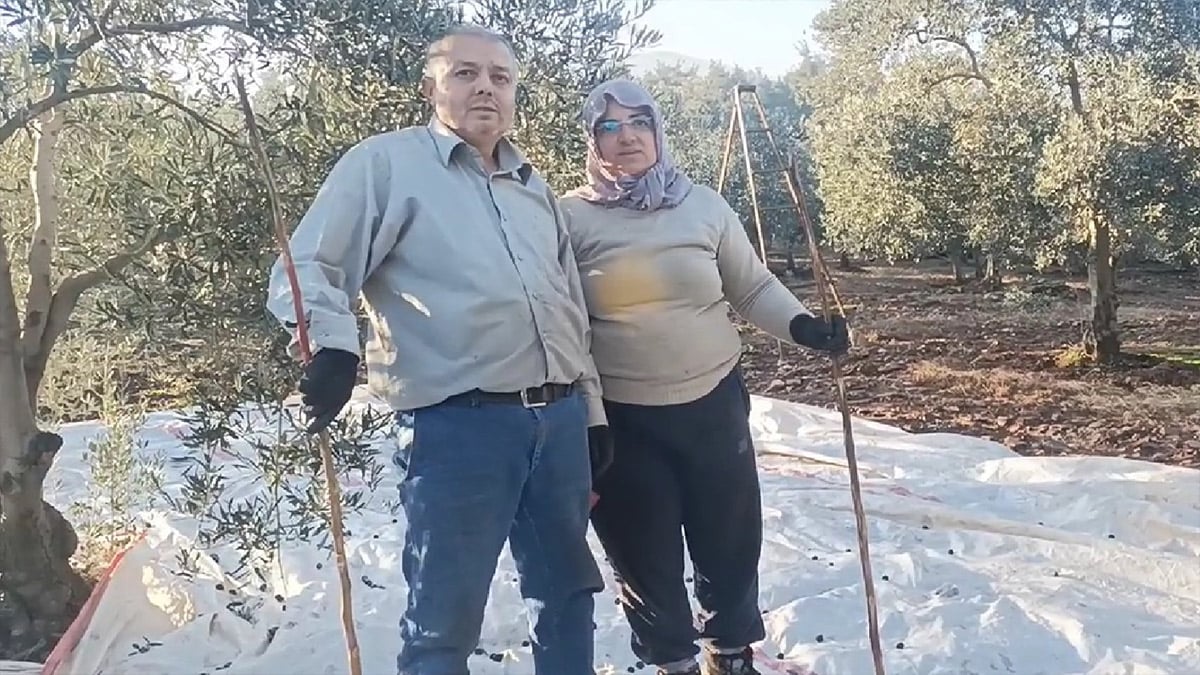 Zeytin bahçesinde çalışan emekli astsubay: 22 yıldır verilen sözler tutulmadı