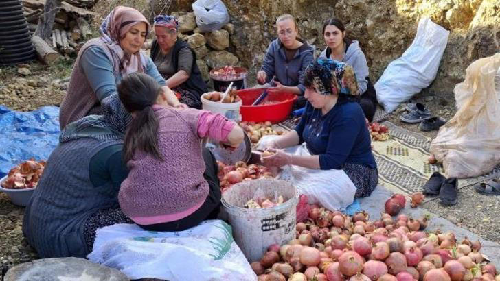 Adana'da sopalar ellere alındı! Nar ekşisi mesaisi başladı