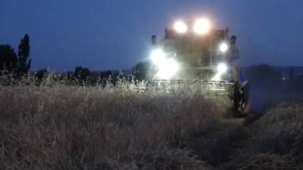 Hasat İçin Gece Tarlaya Girdi Neye Uğradığını Şaşırdı! Korkutan Apar Topar Kaçtı