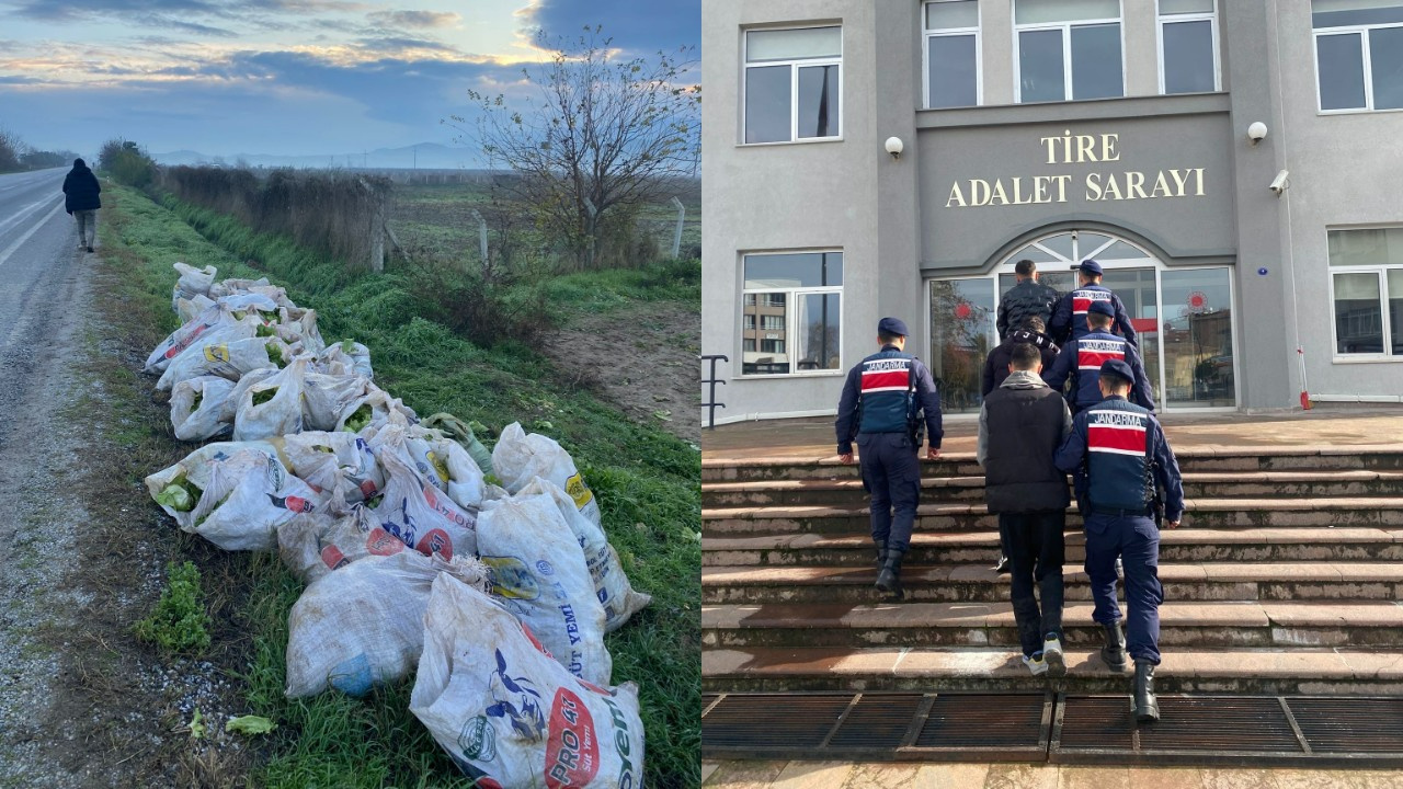 İzmir’de Akılalmaz Hırsızlık: Tarladan Çuvallar Dolusu Marul Çaldılar