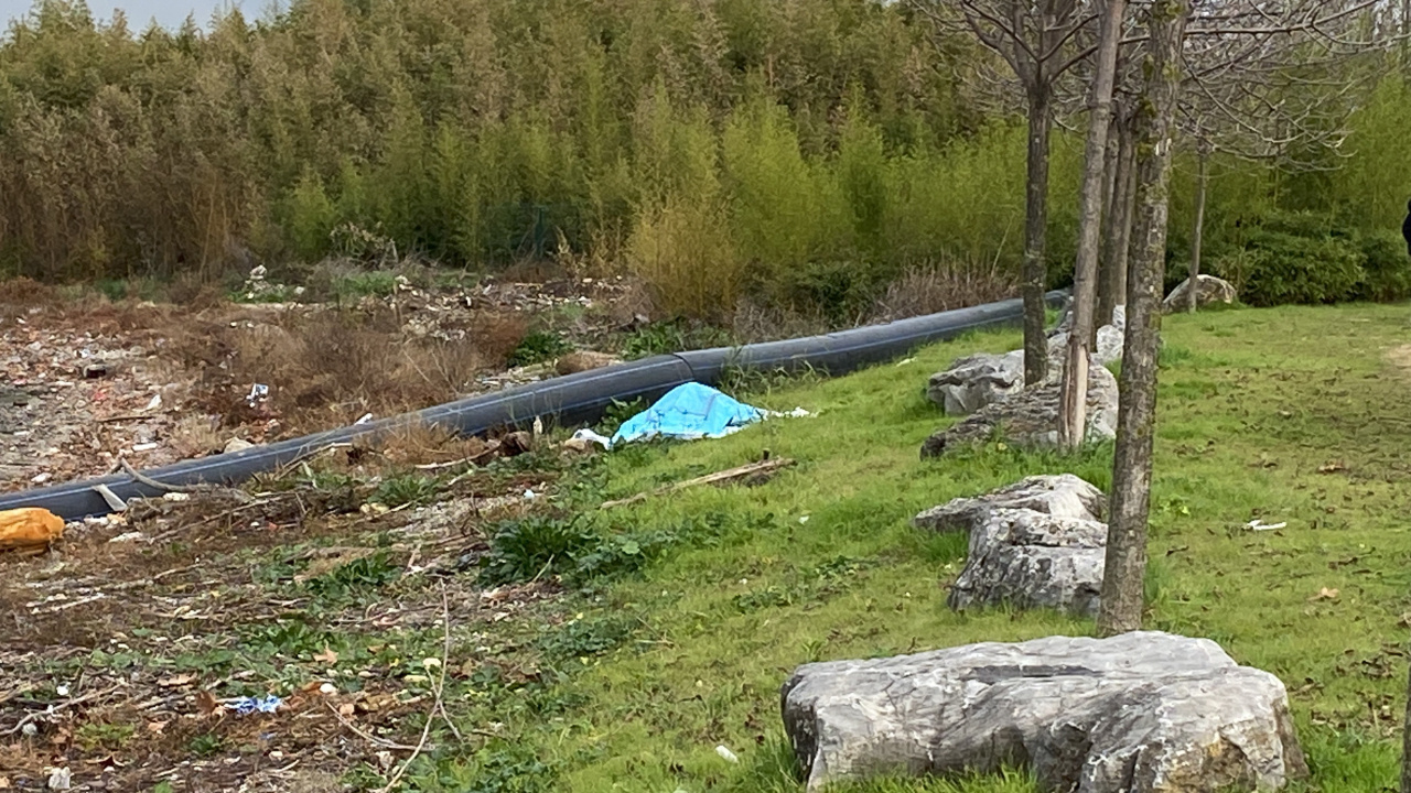 Kocaeli’de Elleri ve Ayakları Bağlı Halde Erkek Cesedi Bulundu