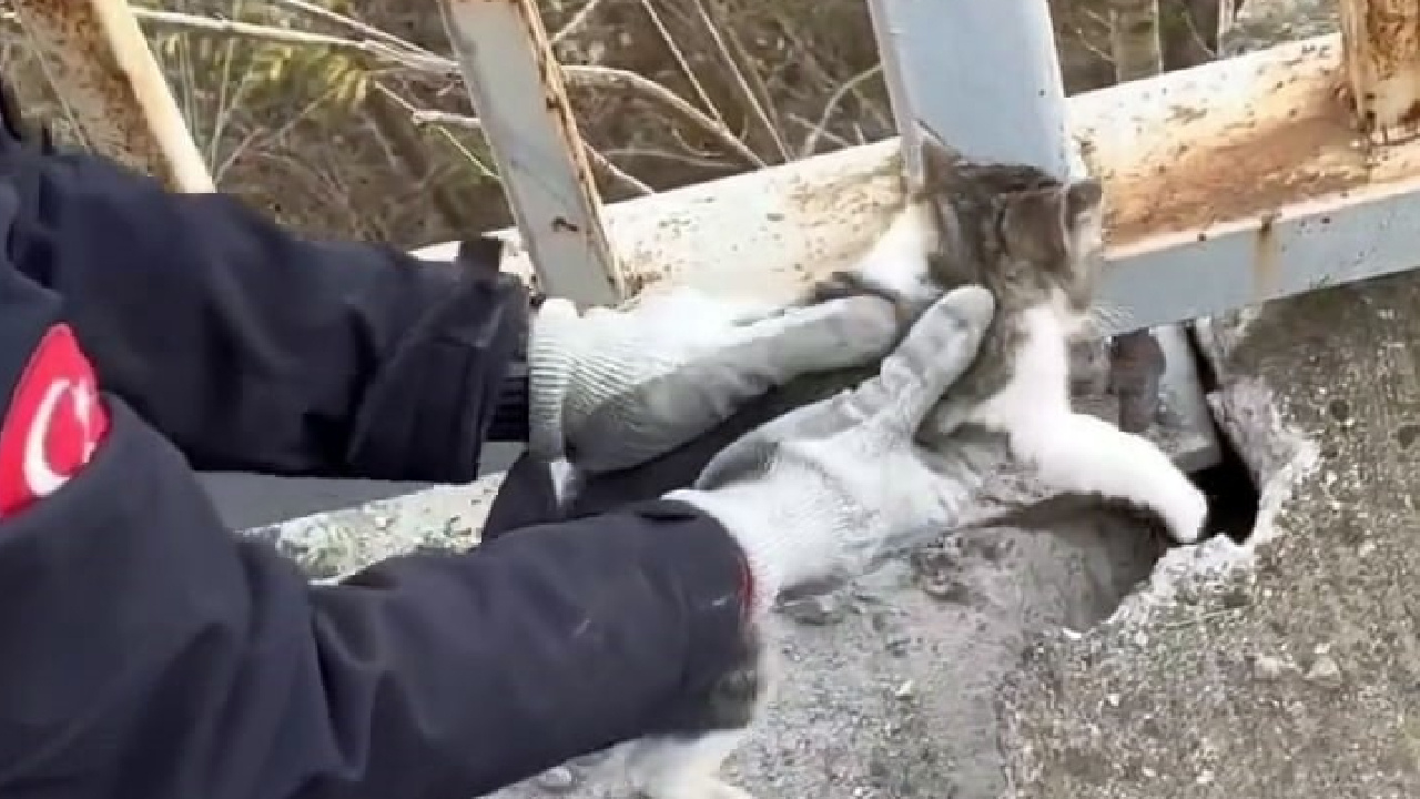 Korkuluklara Sıkışan Yavru Kediyi İtfaiye Kurtardı