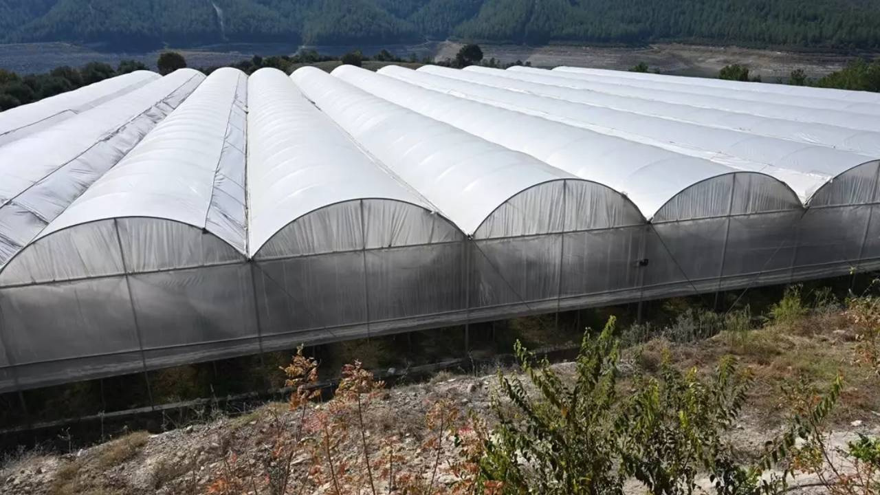 Marangozluğu Bıraktı Olmaz Denilen İşe Başladı! İlk Hasatta Rekor Kırdı