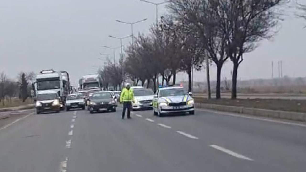 Yaralı Köpeğe Yardım Etmek İçin Trafik Durduruldu