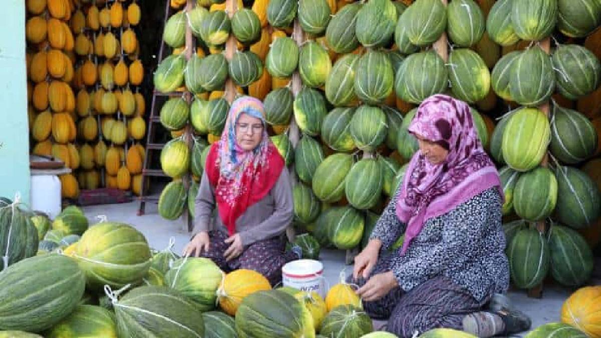 Tek tek iple bağlanıyor, özel depoda saklanıyor! Yazın 5 TL’den almayan kışın 20 TL ödüyor