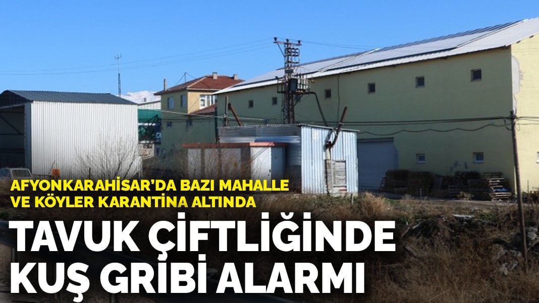 Afyonkarahisar’da tavuk çiftliğinde kuş gribi alarmı: Bazı mahalle ve köyler karantina altında