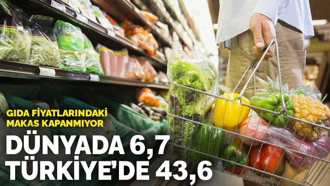 Gıda fiyatlarındaki makas kapanmıyor: Dünyada 6,7 Türkiye’de 43,6