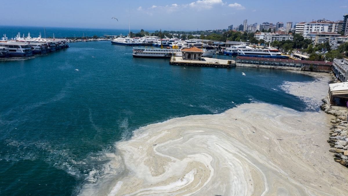 Bakanlık harekete geçti: Marmara’ya kıyı 7 belediyeye müsilaj uyarısı