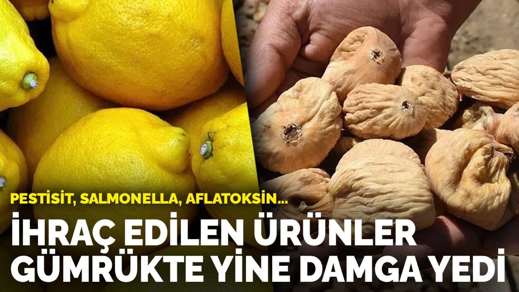 İhraç edilen ürünler gümrükte yine damga yedi: Pestisit, salmonella, aflatoksin…