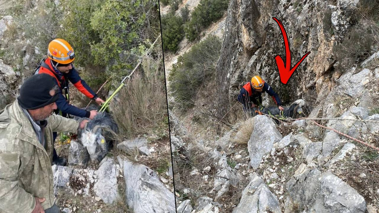 Mahsur Kalan Keçinin Yardımına Köylüler Koştu