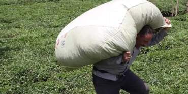 152 Bin Dekar Alanda Her Gün 12 Saat Boyunca Durmadan Çalışıyorlar! Günlük Kazancını Duyan Akın Ediyor