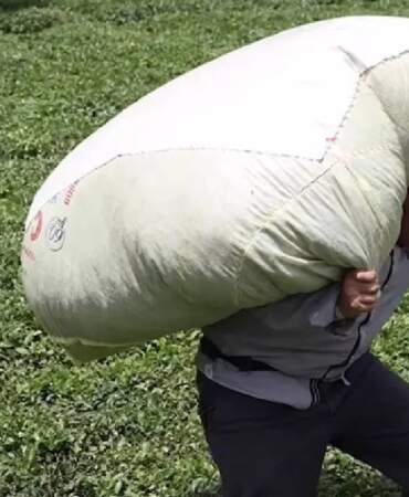 152 Bin Dekar Alanda Her Gün 12 Saat Boyunca Durmadan Çalışıyorlar! Günlük Kazancını Duyan Akın Ediyor