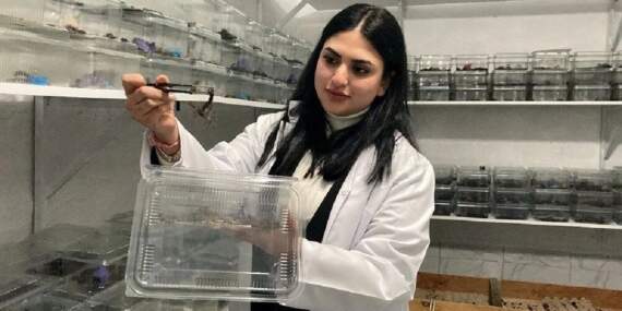 İnternetten video izlerken ampul yandı, yeni işi oldu! Türkiye’de ilk üretildi: 3 bin tanesi de ışıkta parlıyor