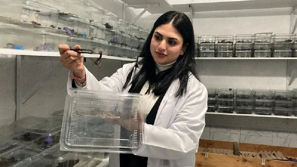 İnternetten video izlerken ampul yandı, yeni işi oldu! Türkiye’de ilk üretildi: 3 bin tanesi de ışıkta parlıyor