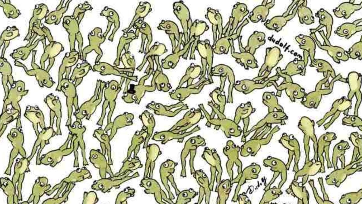 Sadece 5 Saniyeniz Var: Zıplamayan Kurbağayı Bulun ve IQ’nuzu Kanıtlayın!