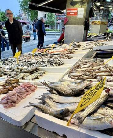 Tezgahlar o balıklarla doldu! Giden poşetini dolduruyor: Kilosu 150 lira