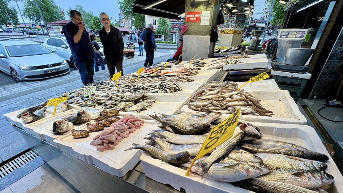 Tezgahlar o balıklarla doldu! Giden poşetini dolduruyor: Kilosu 150 lira