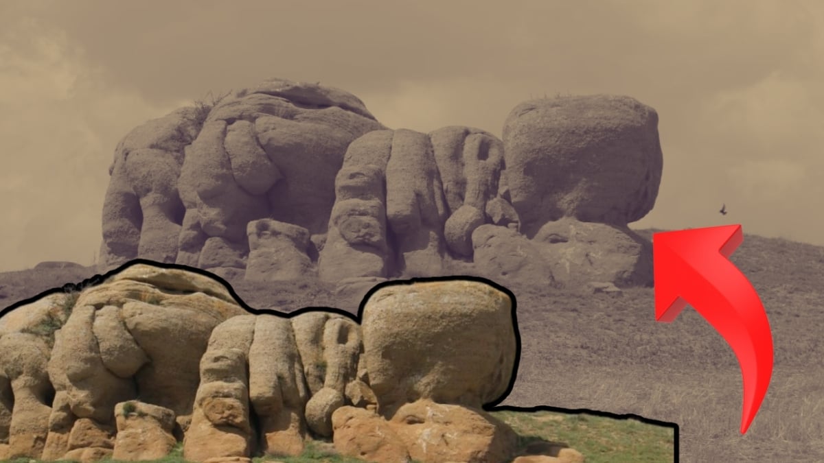 Bozkırda fil sürüsü sandılar, gerçeği öğrenince şaşkınlıklarını gizleyemediler! Esrarengiz kayaların sırrı ne?