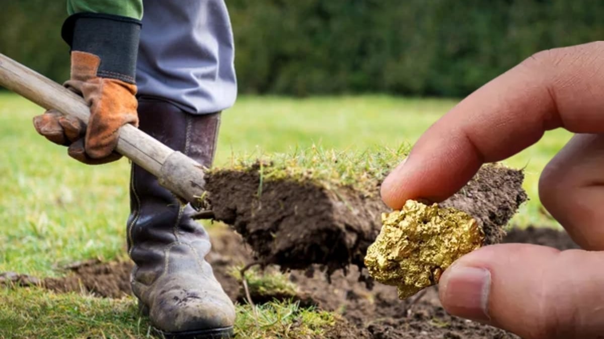 Topraktaki tuhaflığı fark etti, kazı yaptı! Resmen hazine buldu: 150 ton altın ortaya çıktı