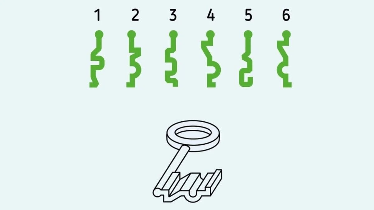 5 saniyede doğru deliği tutturan çıkar mı? Anahtarı doğru yere yerleştiren süper zeki çıkar