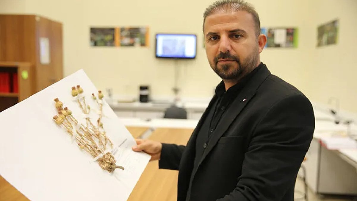 Herkes üzerine basıp geçiyordu şimdi bastığı yere iki kez bakacak! 12 yıl boyunca çalıştılar, artık o da değerlendi