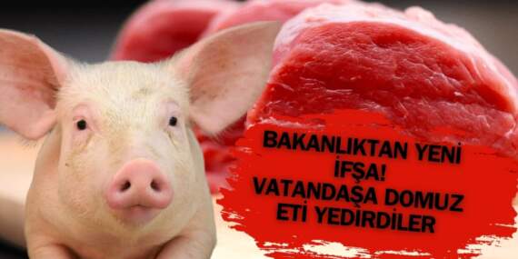 Bakanlık büyük skandalı ifşaladı! Vatandaşa domuz eti yedirenler ortaya çıktı: Bu 2 şehirde alarm verildi