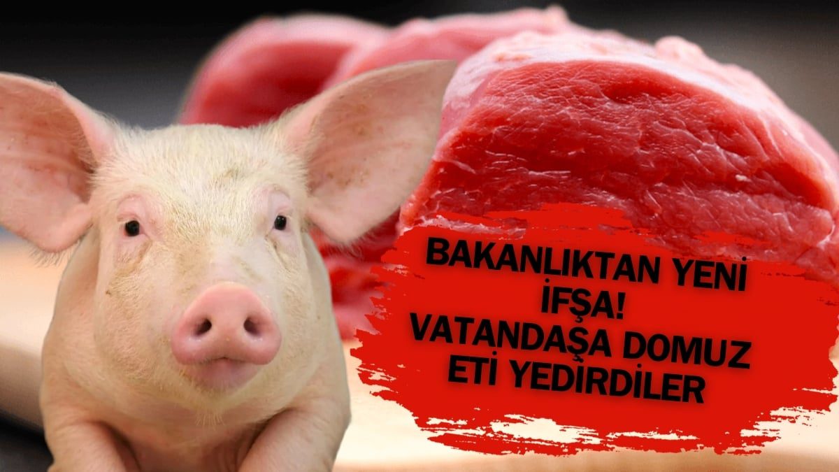 Bakanlık büyük skandalı ifşaladı! Vatandaşa domuz eti yedirenler ortaya çıktı: Bu 2 şehirde alarm verildi