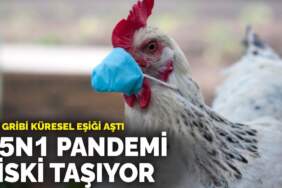 Kuş gribi küresel eşiği aştı: H5N1 pandemi riski taşıyor