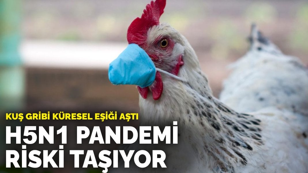 Kuş gribi küresel eşiği aştı: H5N1 pandemi riski taşıyor