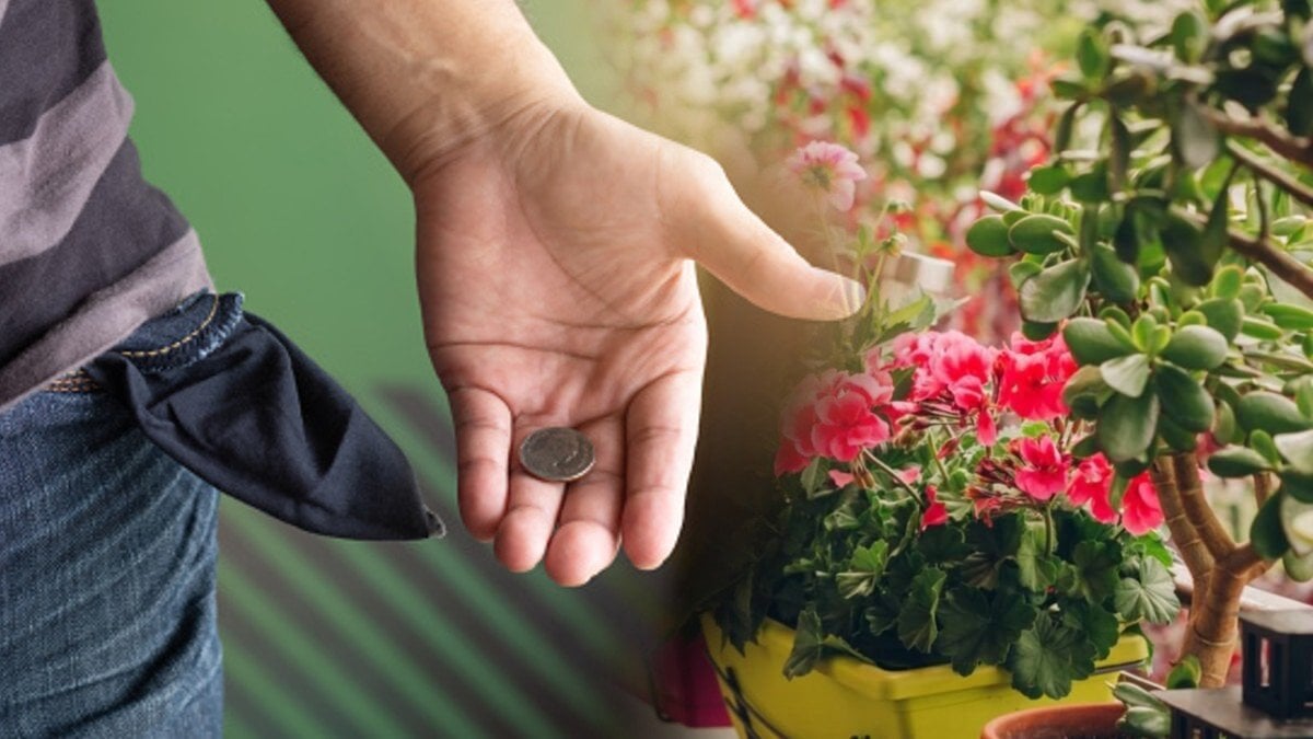 Bu çiçek diğerlerinden farklı! Elinizdeki avcunuzdaki her şeyi satmanıza sebep olabilir: Sakın güzelliğine aldanmayın