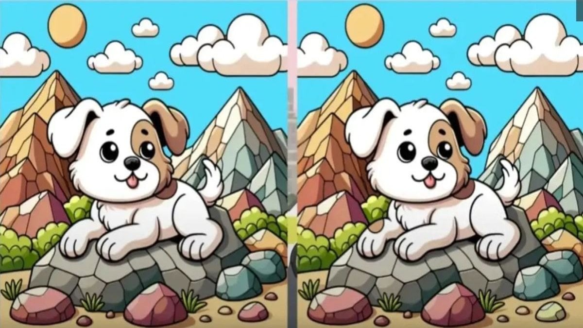 Sadece dahiler 11 saniyede buluyor! Bu iki resim arasındaki 3 farkı bulabilir misiniz?