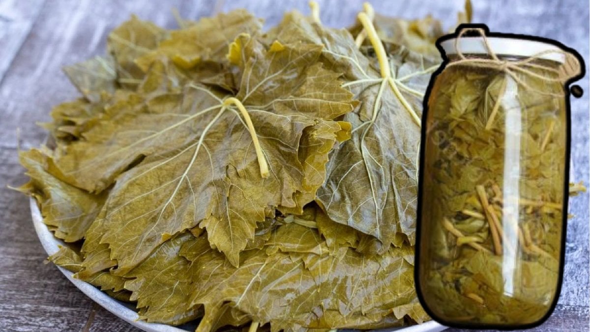 Yeni trend! Yaprak salamurasında devrim! Ne tuz ne zahmet, doğal yöntemle kışa hazırlık