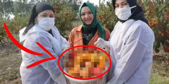 İşsizliğe düştü, üretimin kraliçesi oldu! Kilosunu 100 TL’den satıyor, 10 tonluk ihracatla zirveye çıkıyor…