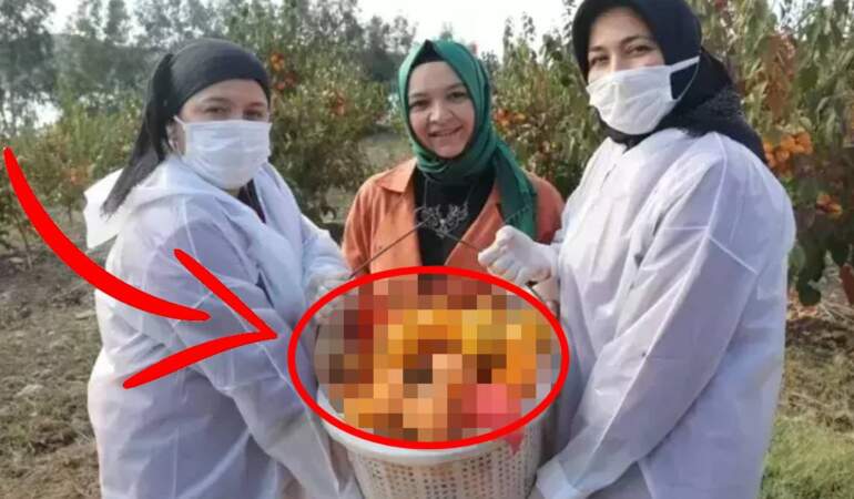 İşsizliğe düştü, üretimin kraliçesi oldu! Kilosunu 100 TL’den satıyor, 10 tonluk ihracatla zirveye çıkıyor…