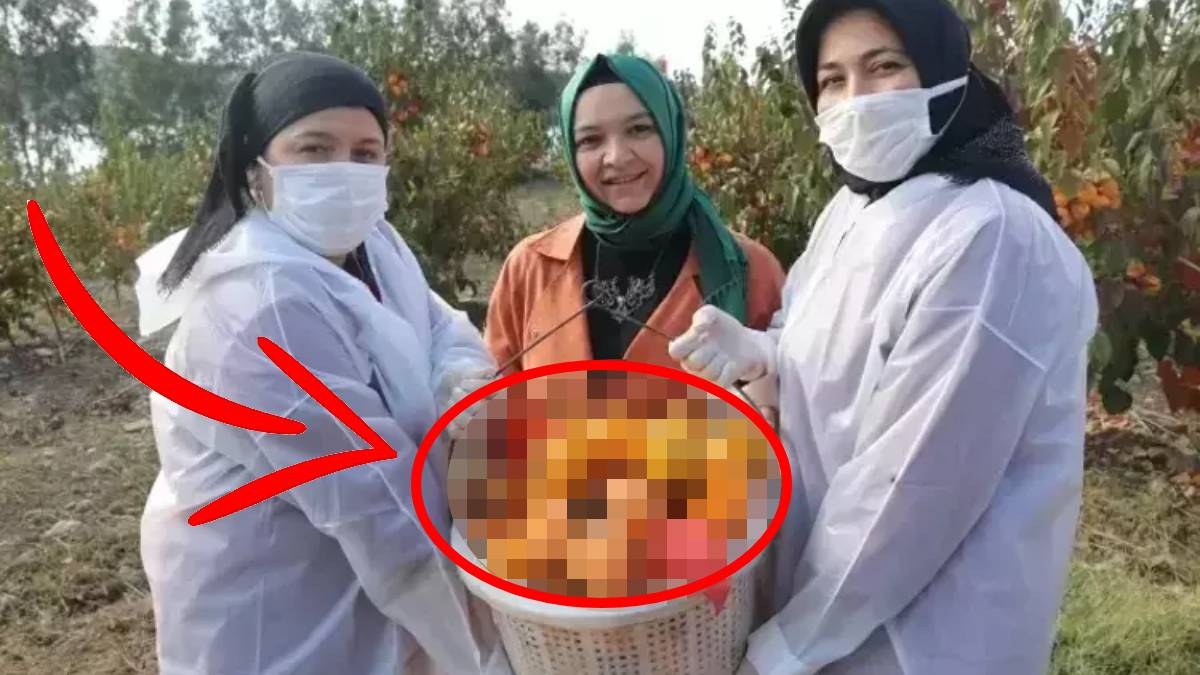 İşsizliğe düştü, üretimin kraliçesi oldu! Kilosunu 100 TL’den satıyor, 10 tonluk ihracatla zirveye çıkıyor…