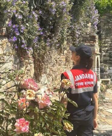 Türkiye’den başka bir yerde bulunmuyor, jandarma 7/24 başında bekliyor! Yaprağını bile koparana 557 bin ceza kesiliyor