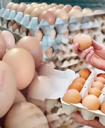 YUMBİR fiyatların düştüğünü açıkladı, etiketler değişmedi! Sakın bu fiyata yumurta almayın: Tüketiciler uyarıldı